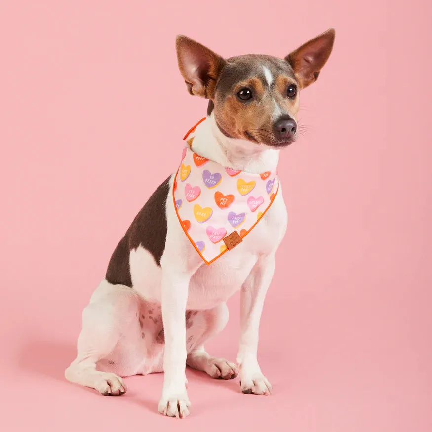 Candy Hearts Dog Bandana