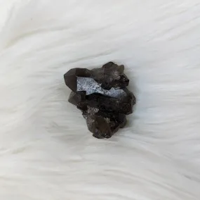 Smoky Quartz Mini Cluster ~ Black Gemmy Shine!