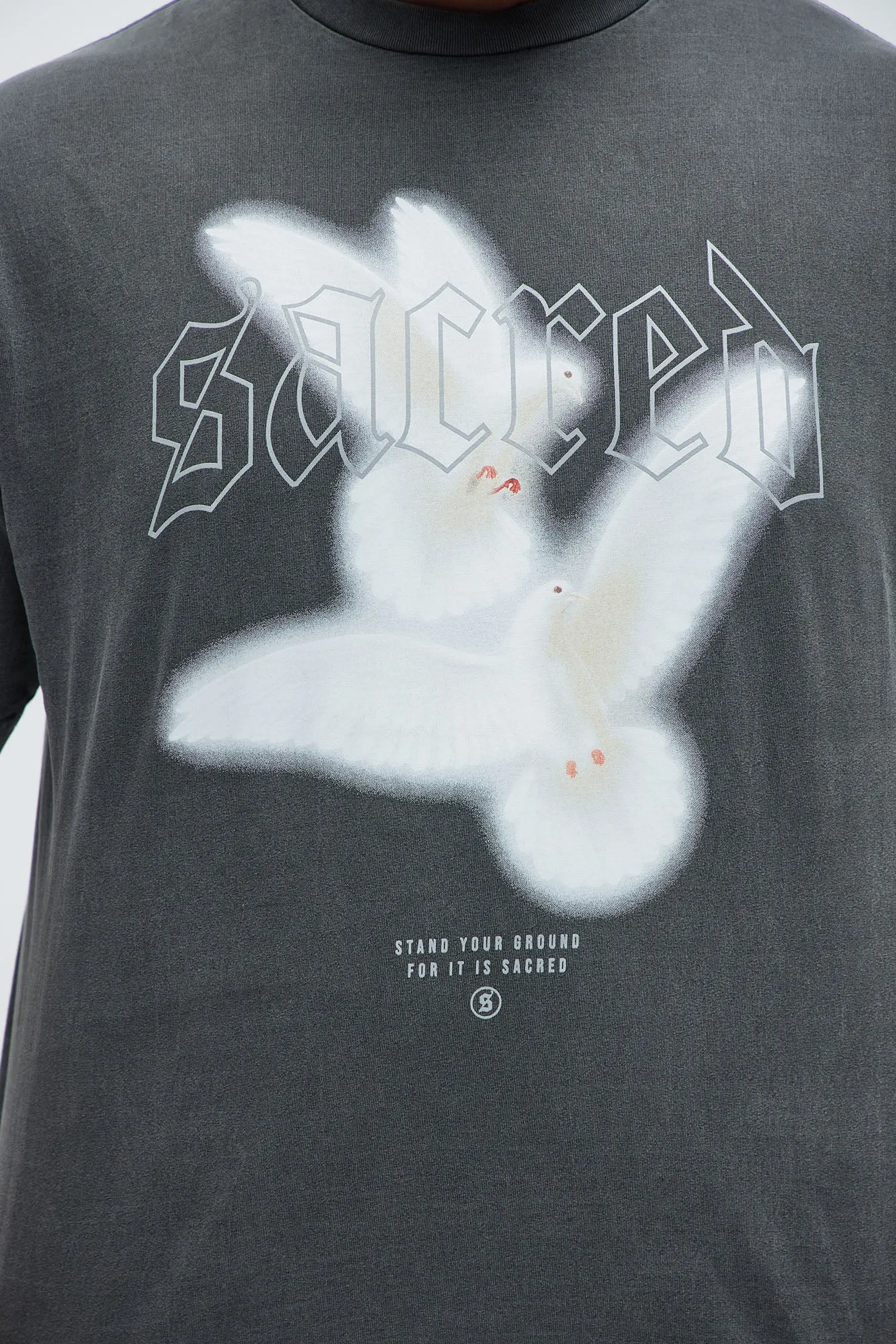 Vintage Sacred Ground Short Sleeve Tee - Black